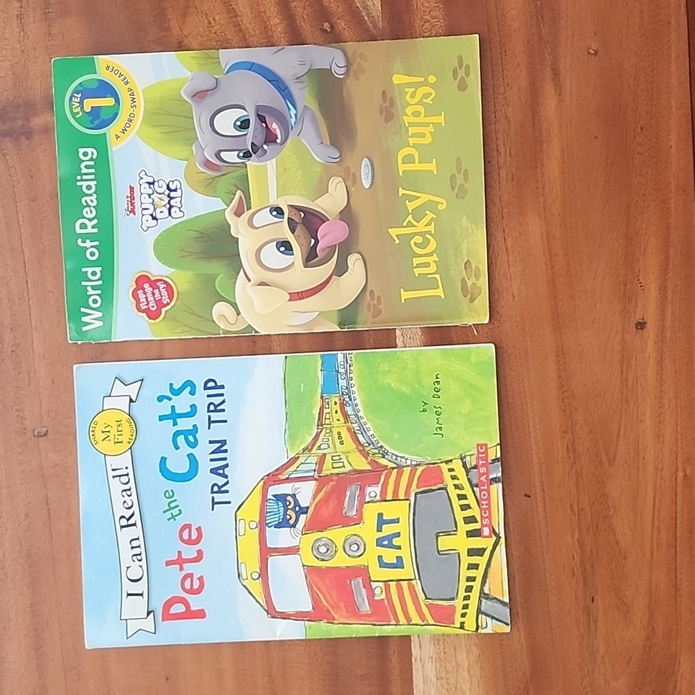 Level 1 Paper Back Reading Book Bundle